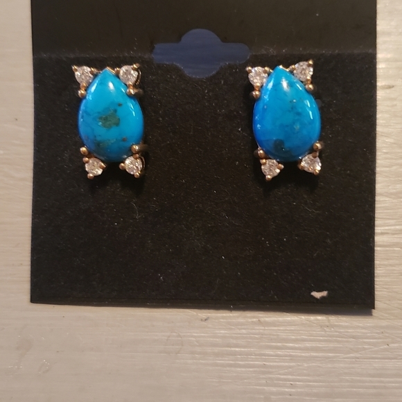 Jewelry - Sterling silver earrings Hp🔥🔥🔥